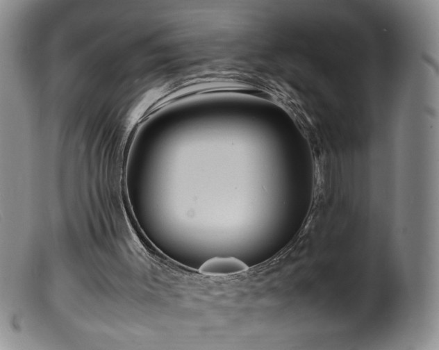 X0000099460003200805161058