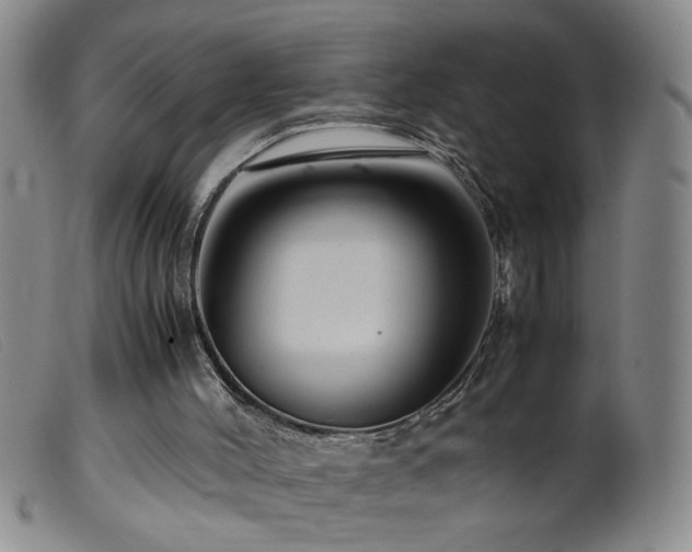 X0000099460004200805161058