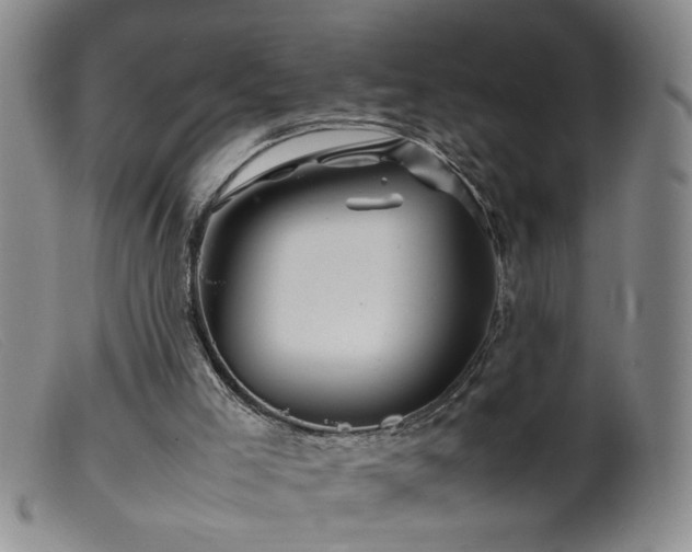 X0000099460005200805161058