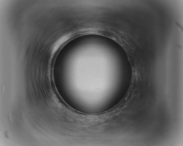 X0000099460006200805161058