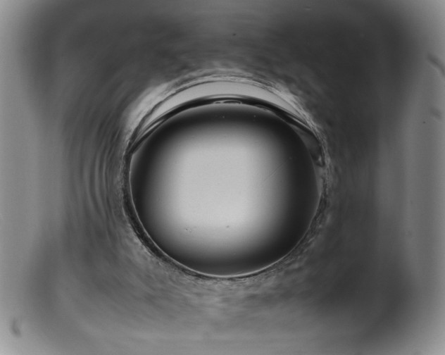 X0000099460007200805161058