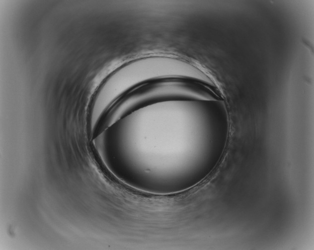 X0000099460008200805161058