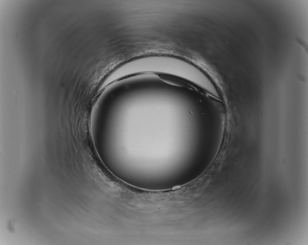 X0000099460009200805161058