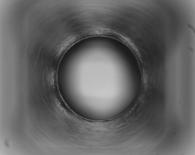 X0000099460010200805161058