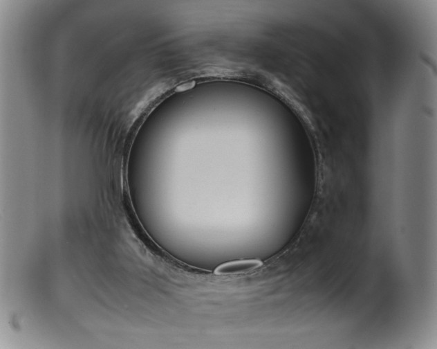 X0000099460011200805161058