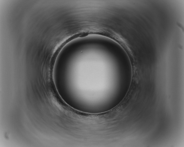 X0000099460012200805161058