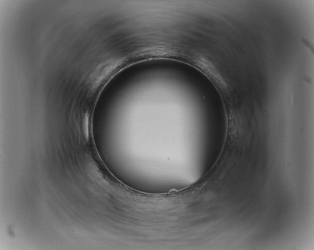 X0000099460014200805161058