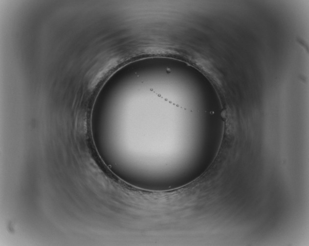 X0000099460015200805161058