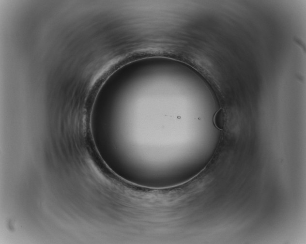 X0000099460016200805161058