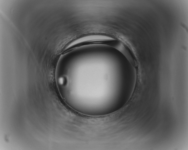 X0000099460017200805161058