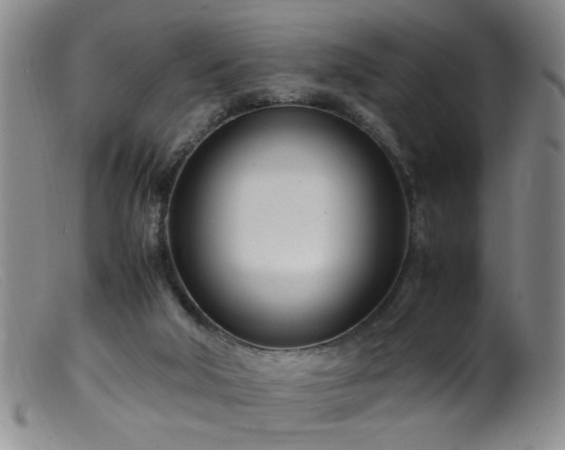 X0000099460018200805161058