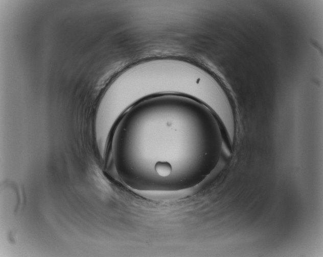 X0000099460019200805161058