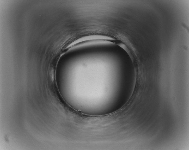 X0000099460021200805161058