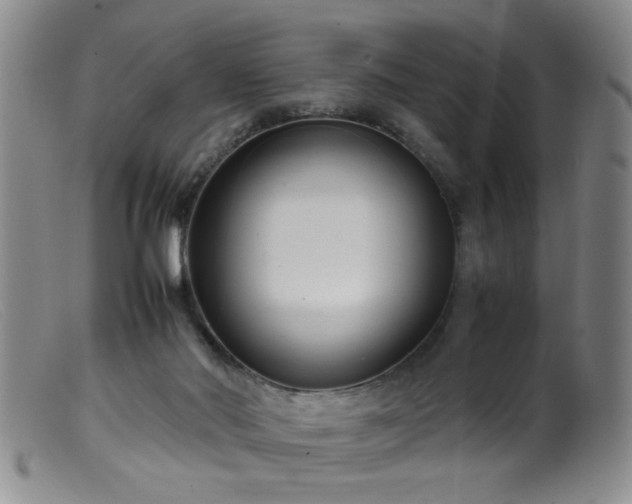 X0000099460022200805161058