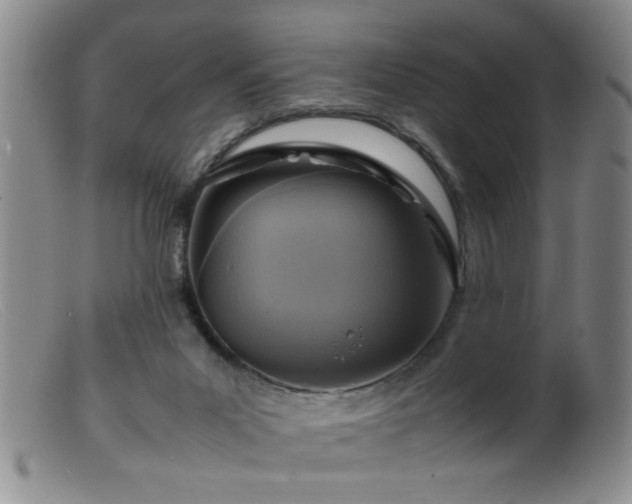 X0000099460023200805161058