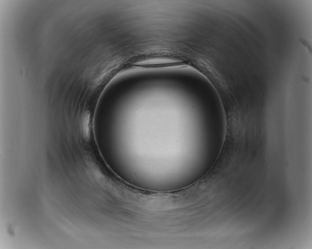 X0000099460024200805161058