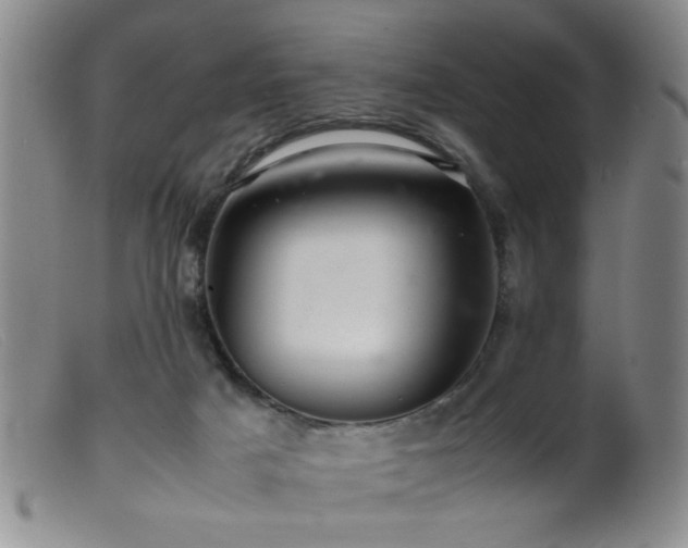 X0000099460025200805161058