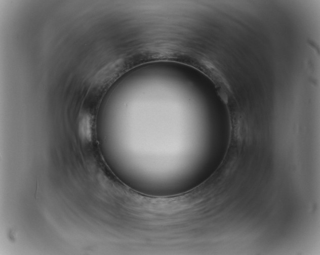 X0000099460026200805161058