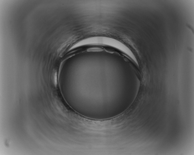 X0000099460027200805161058