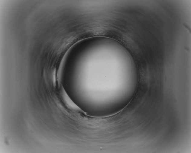 X0000099460028200805161058