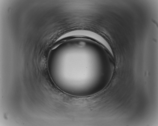 X0000099460029200805161058