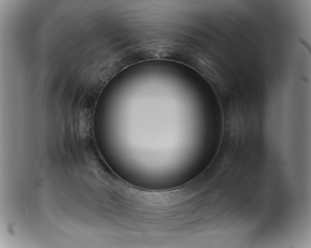 X0000099460030200805161058