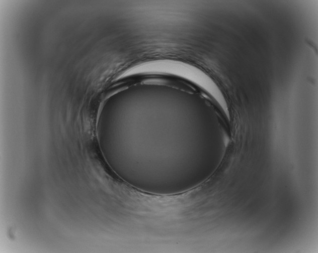 X0000099460031200805161058