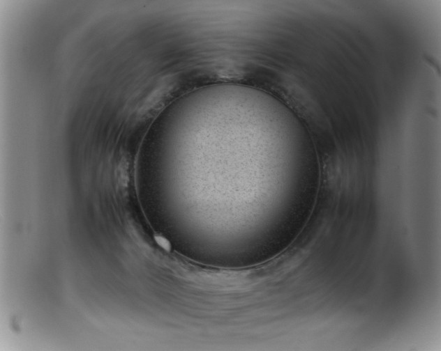 X0000099460032200805161058