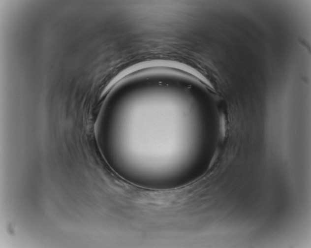 X0000099460033200805161058