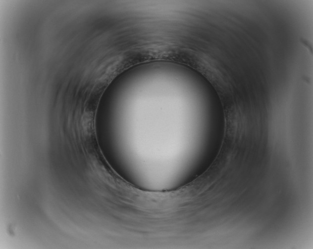 X0000099460034200805161058