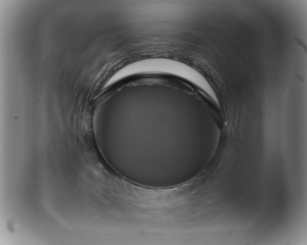 X0000099460035200805161058