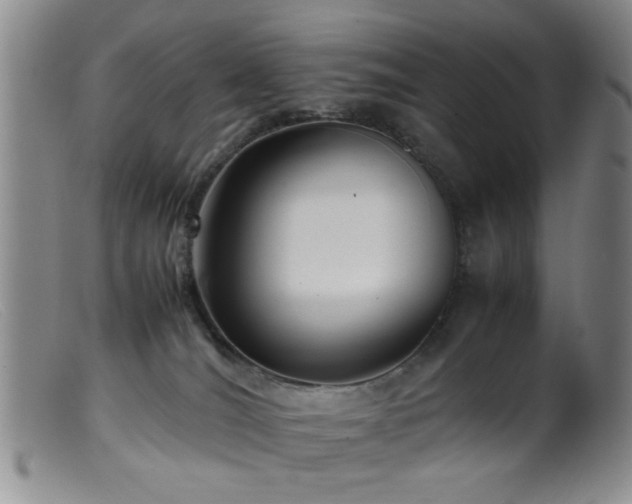 X0000099460036200805161058