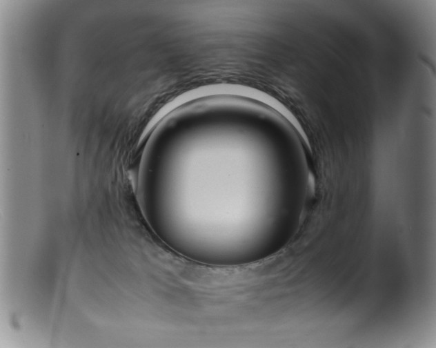 X0000099460037200805161058