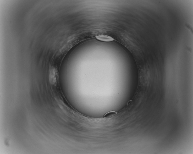 X0000099460038200805161058