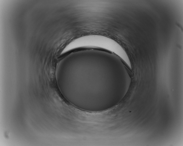 X0000099460039200805161058