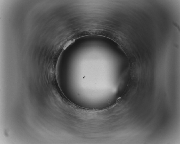 X0000099460040200805161058