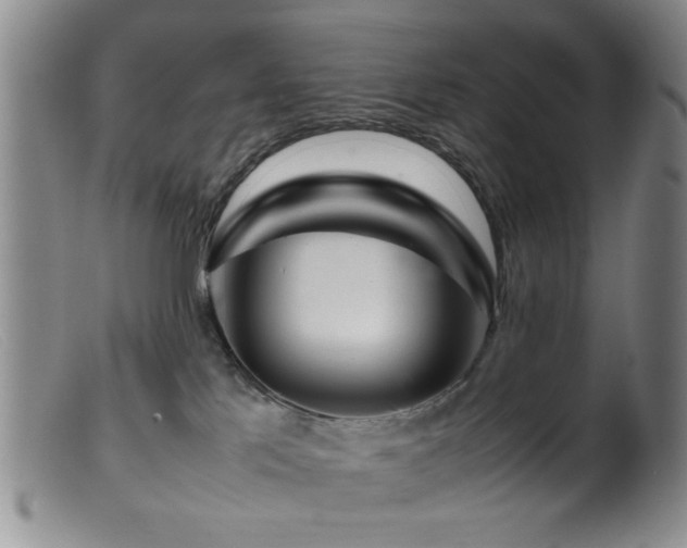 X0000099460041200805161058