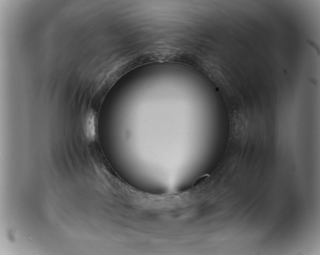 X0000099460042200805161057