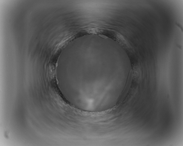 X0000099460043200805161057