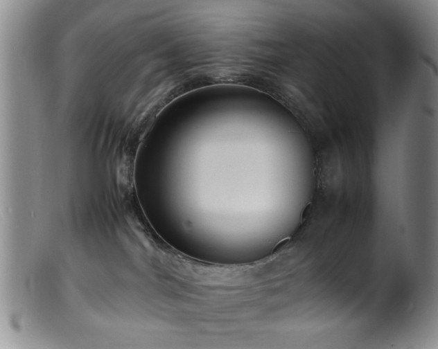 X0000099460044200805161057