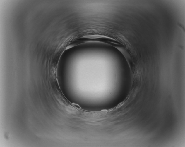 X0000099460045200805161057