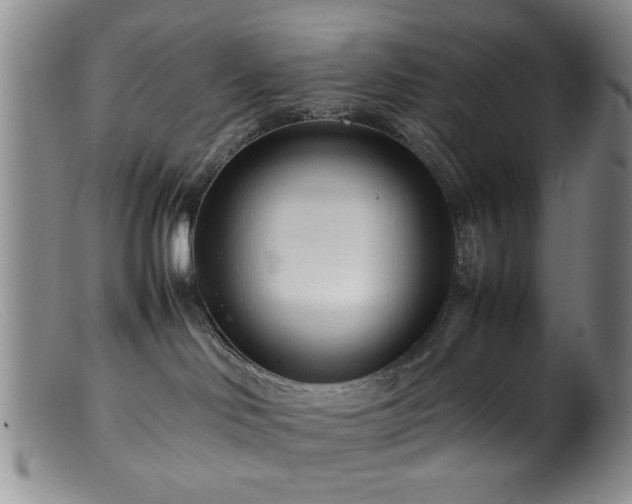 X0000099460046200805161057