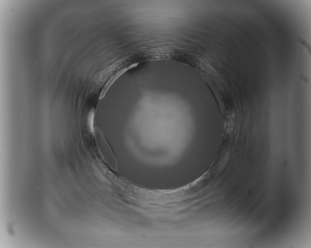 X0000099460047200805161057