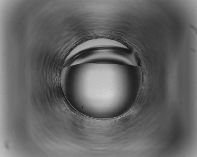 X0000099460048200805161057