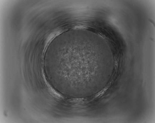 X0000099460049200805161057