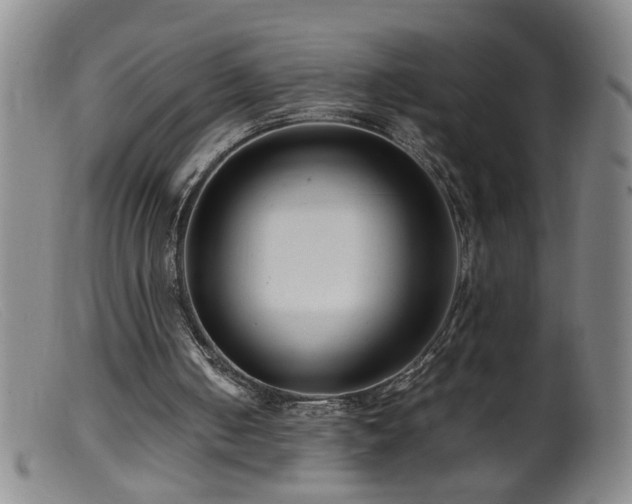 X0000099460050200805161057