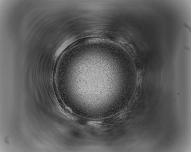 X0000099460051200805161057