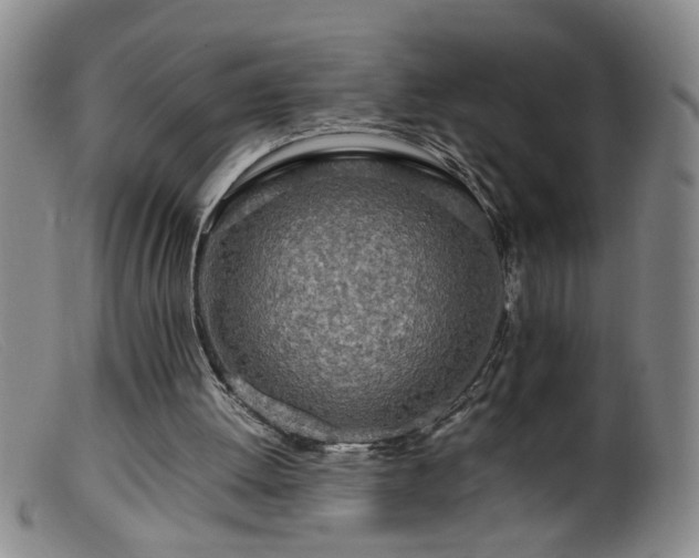 X0000099460052200805161057