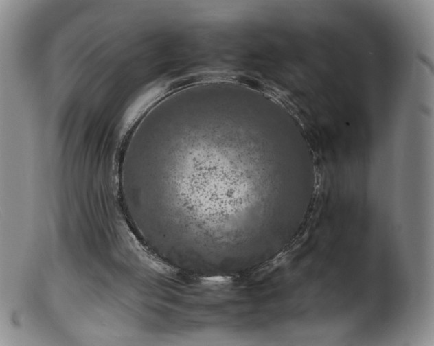 X0000099460053200805161057