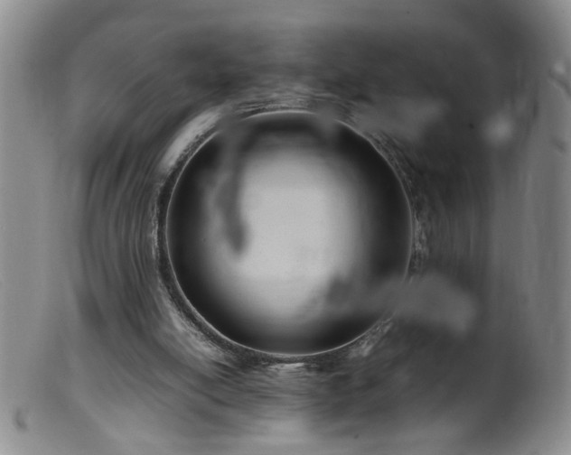 X0000099460054200805161057